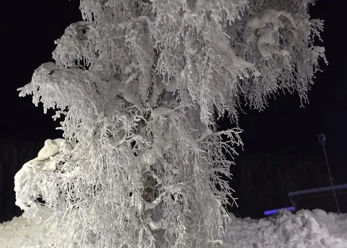 Apartment Panorama *